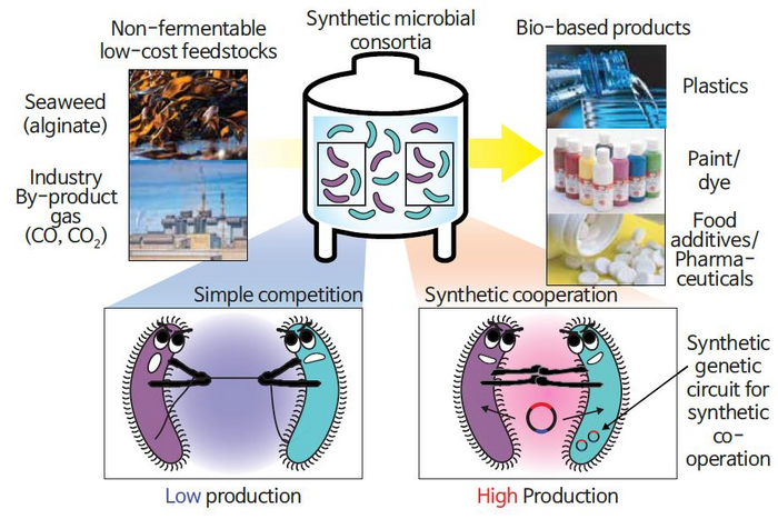 A genetic circuit guides microorganisms to st Biology Diagrams