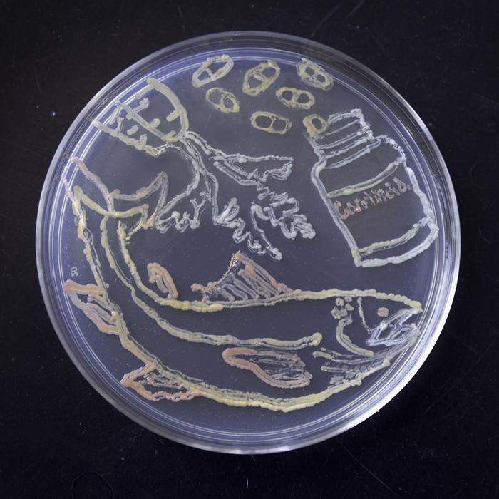 Carotenoid-Petri-Dish_20231211v2