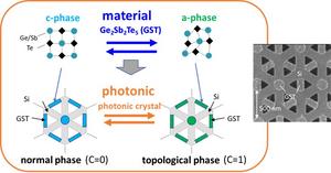 Figure 1. Summary of this work