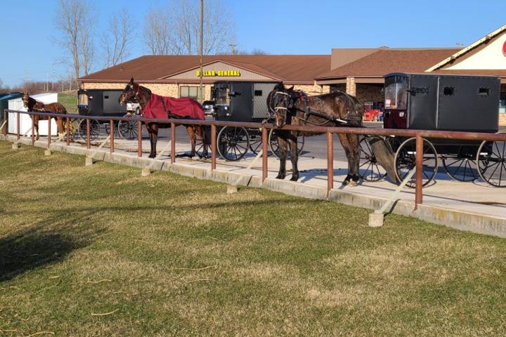 Amish buggies