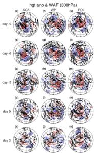 The three types of events on days -10 to 3, 300 hPa height anomalies and wave activity flux.