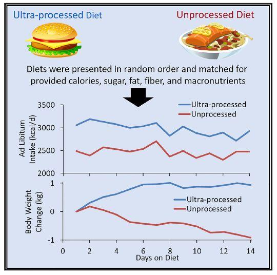 Processed Diets Graphical Abstract