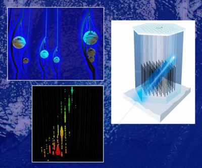 IceCube Detects Neutrinos