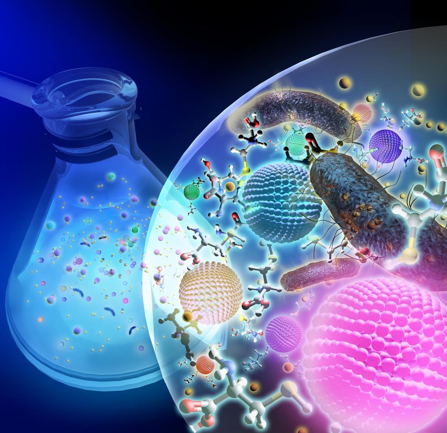 Biomanufacturing of CdS Quantum Dots