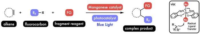 CATALYSIS 2