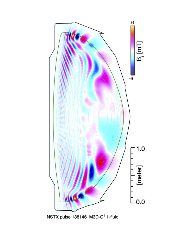 Magnetic Perturbations in a Fusion Plasma