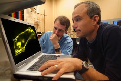 Dr. Nevin A. Lambert, Medical College of Georgia, Image 2