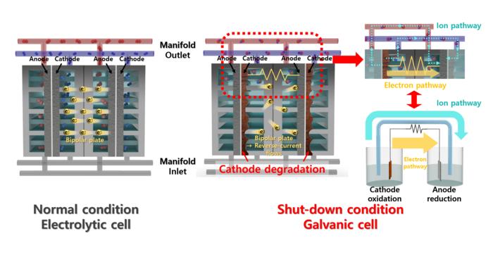 Mechanism of degradation by reverse current during shutdown of alkaline water electrolysis at nickel electrodes