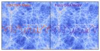Fuzzy Vs. Cold Dark Matter Simulations