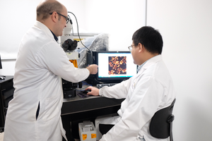 NTU Singapore scientists develop novel “Trojan horse” drug delivery system using protein-based microdroplets