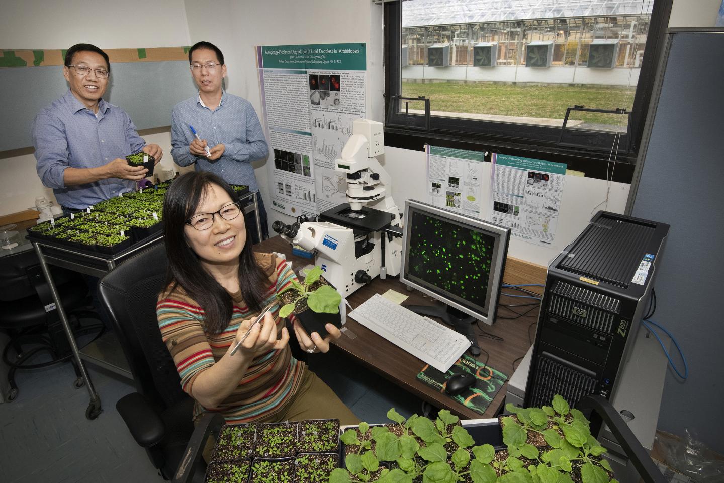 Brookhaven Lab Plant Biochemists