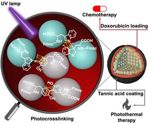 A representation of the amino acid-based nanoparticles loaded with doxorubicin and coated with tannic acid complex for a dual-action mechanism.