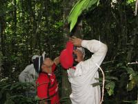 Fieldwork in the Amazon