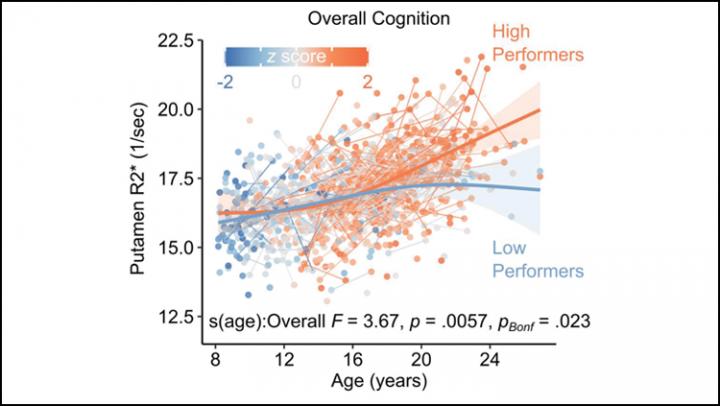 The Brain May Need Iron for Healthy Cognitive Development