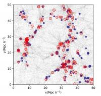 Numerical Model for Dark Matter and Galaxies