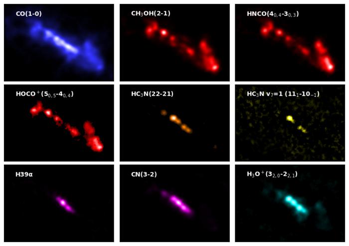 ALCHEMIプロジェクトの探査によって観測された、NGC 253銀河の中心部におけるさまざまな種類の分子の分布図
