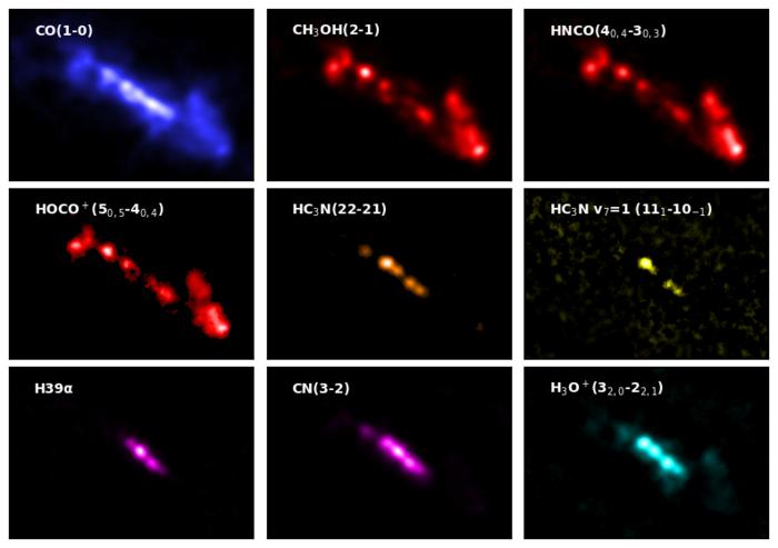 Excerpts from the ALCHEMI atlas of the center of NGC 253