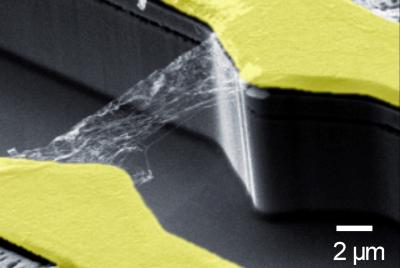 Carbon-nanotubes as Ultrafast Photodetectors