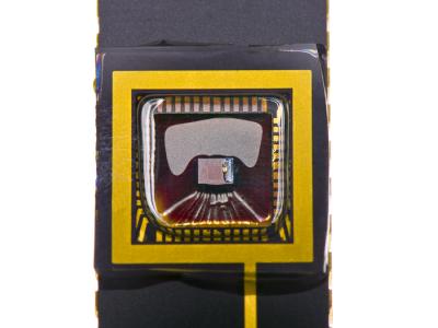 Organic Sensor (2 of 2)