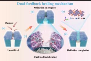 Schematic diagram of the dual-feedback healing mechanism in SOAC@BNf/SiBN