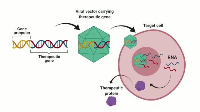 Novel Technology Aims to Improve Treatment of Neurological Diseases