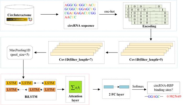 The flowchart of circ2CBA