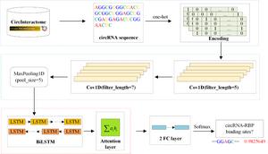 The flowchart of circ2CBA