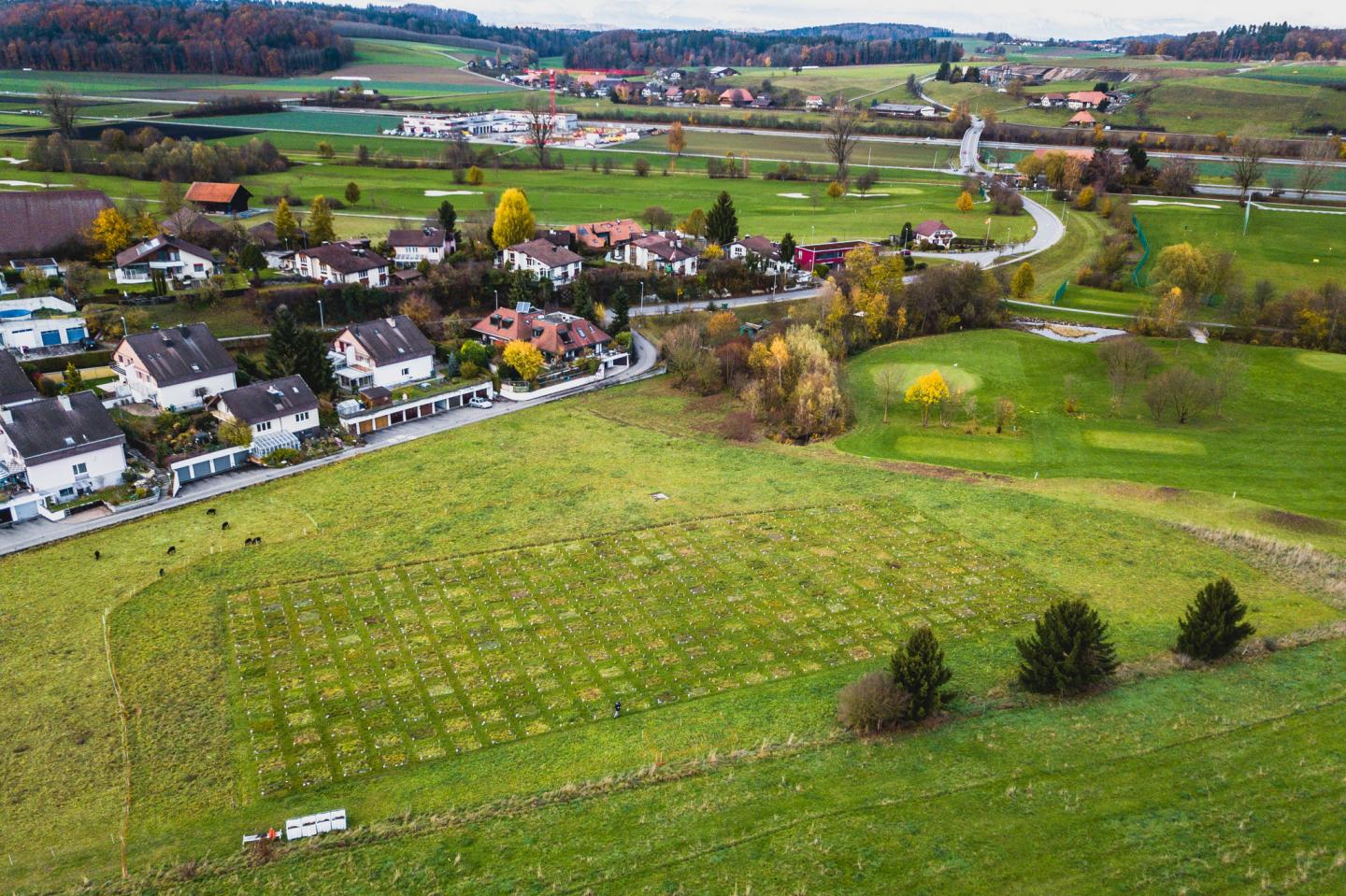 Das PaNDiv-Experiment in MÃ¼nchenbuchsee BE. 