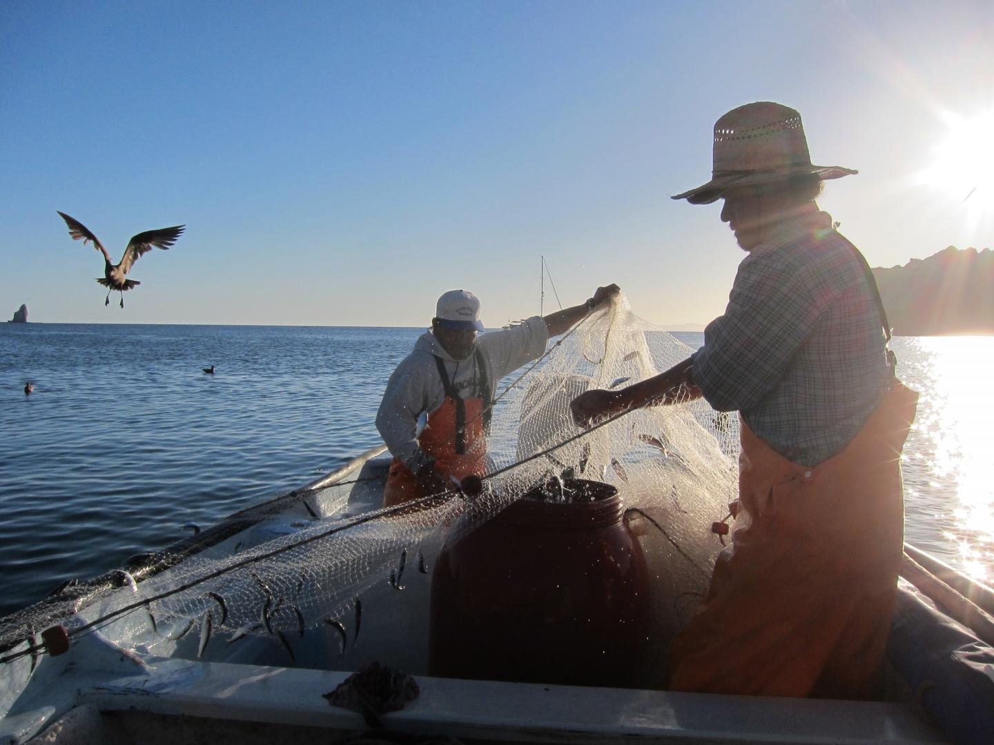 In Small Fishing Communities, Marine Protected Areas May Produce Changes in Group Behavior (1 of 9)