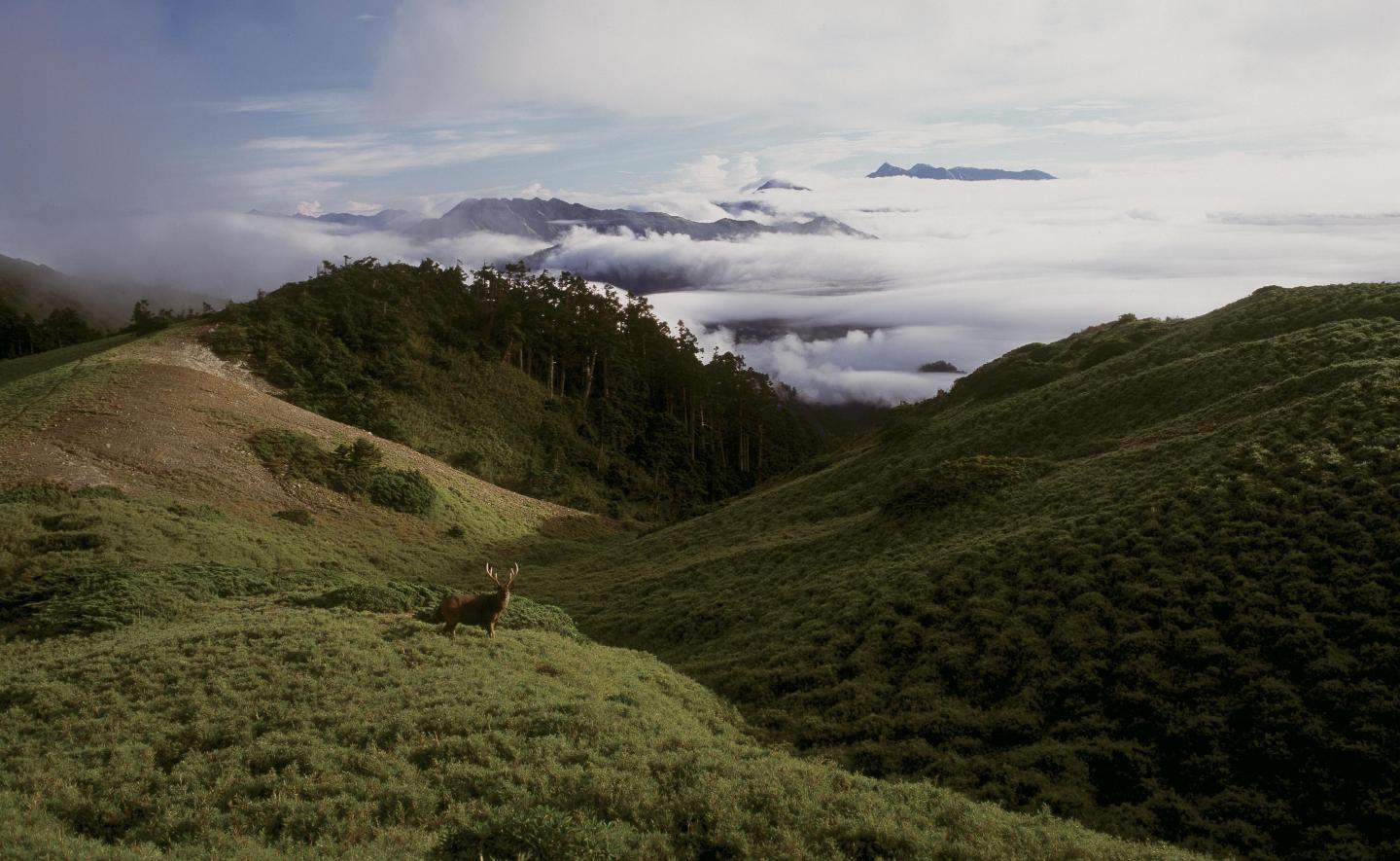 Tolerance to Daily Versus Seasonal Temperature Changes May Dictate Fitness (3 of 3)