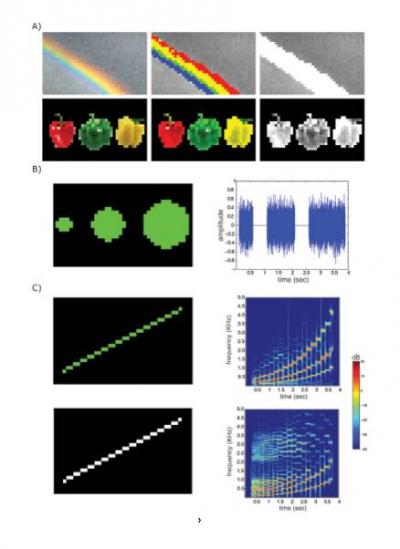 EyeMusic Sensory Substitution Device Enables the Blind to 'See' Colors and Shapes
