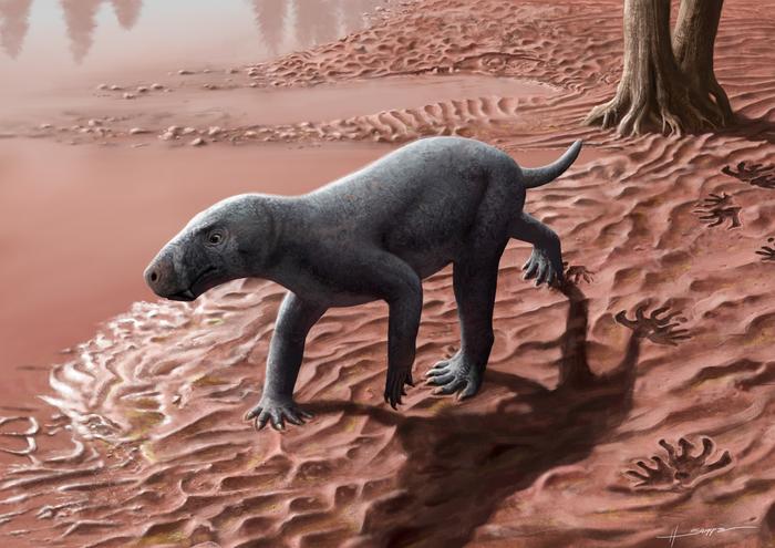 Life reconstruction