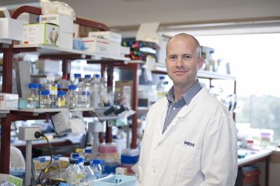 Dr. Benjamin Kile, Walter and Eliza Hall Institute