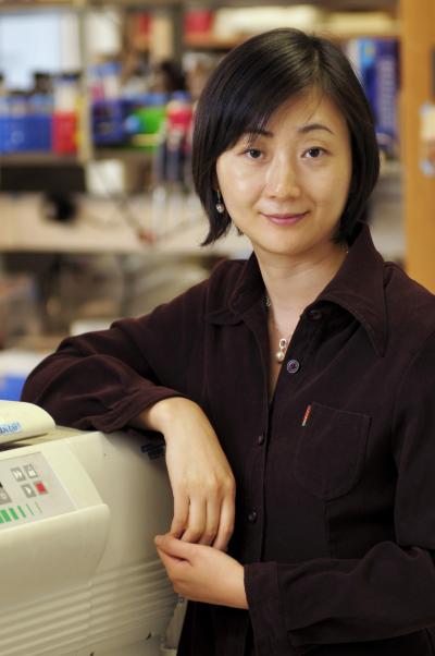 Xiaoyu Hu, M.D., Ph.D., Hospital for Special Surgery