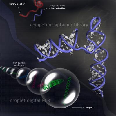 Aptamers