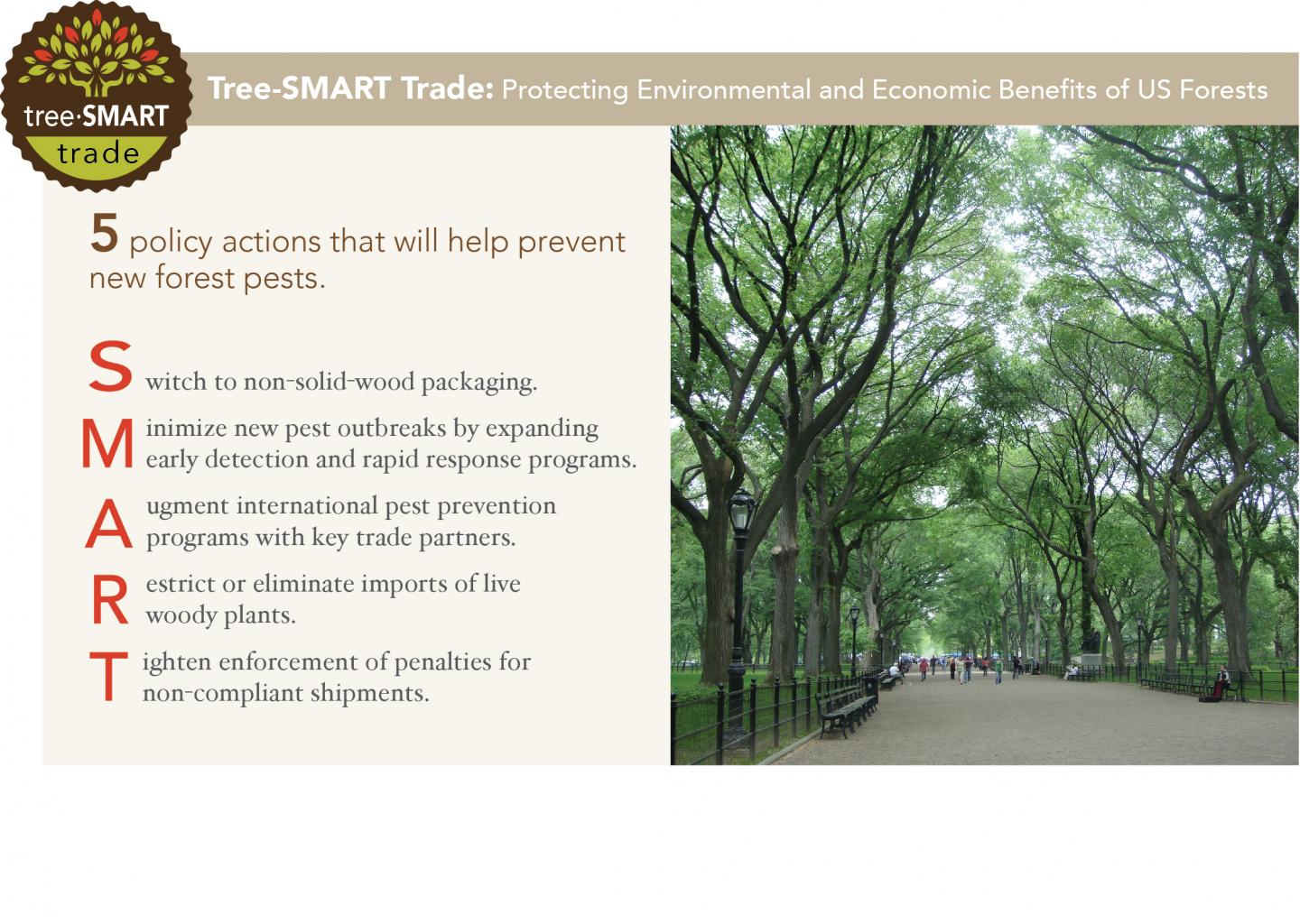 Tree-SMART Trade