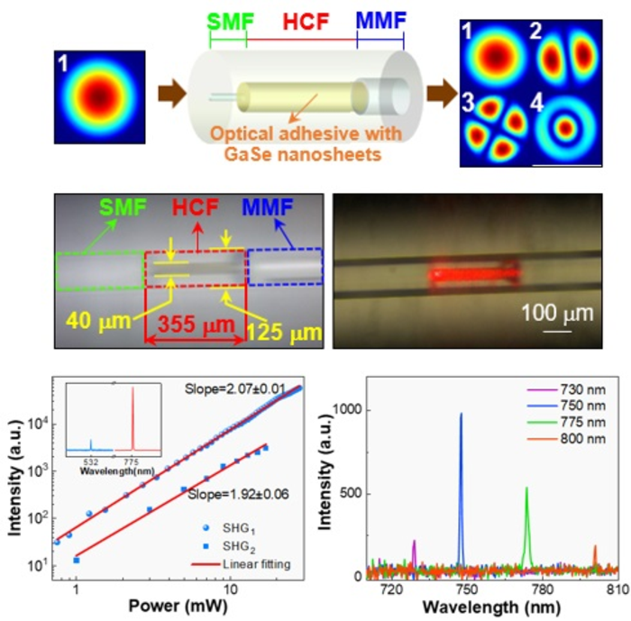 Optical frequency conversion of the GaSe-filled hollow-core fiber