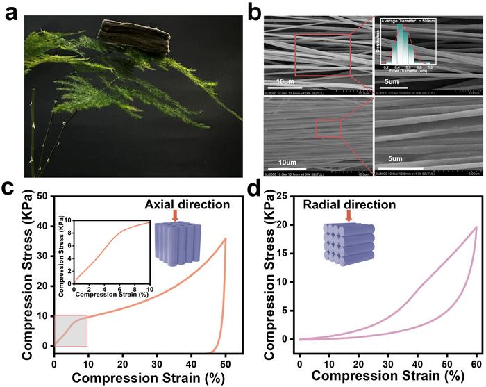 Nature-Inspired Ceramic Fiber Aerogels Offer Breakthrough in Thermal Insulation