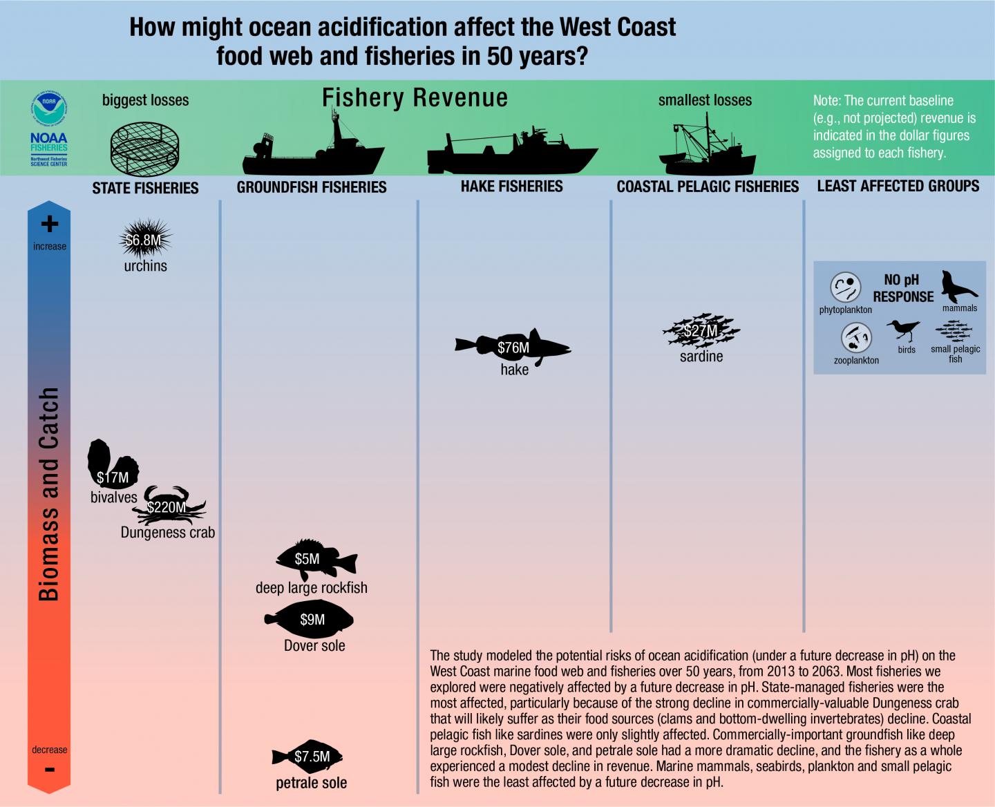 Ocean acidification to hit West Coast Dungene | EurekAlert!