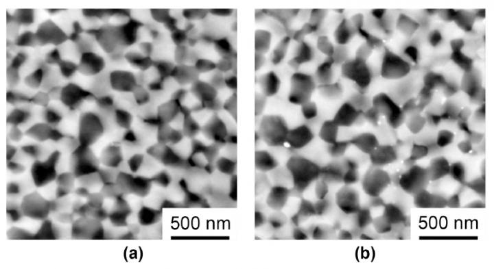 FESEM of 3 at.% Ho3+:Y2O3-MgO composite ceramics