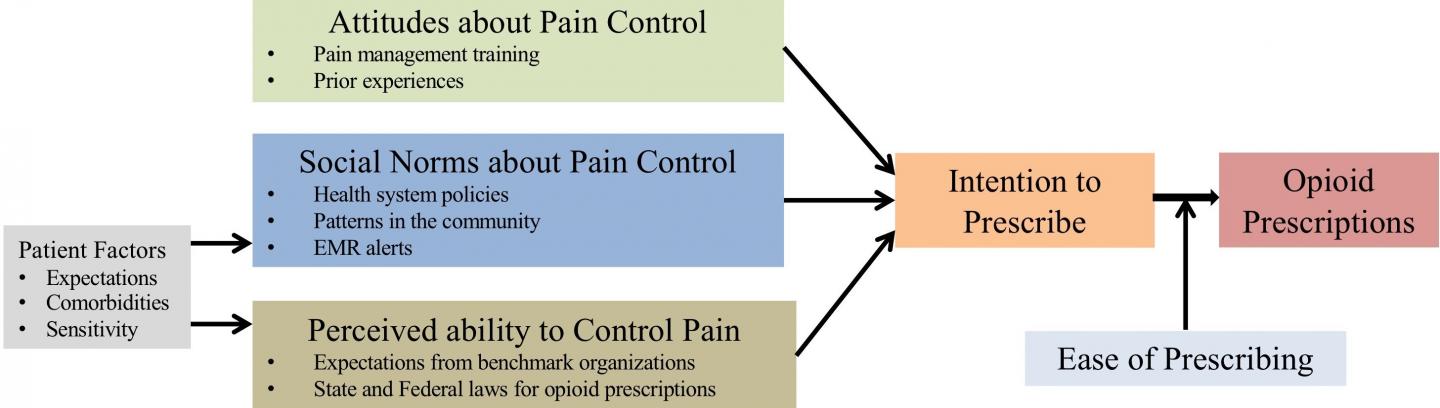Conceptual Framework