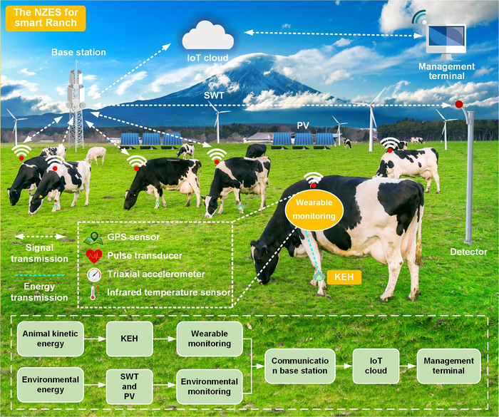 Cow smart monitors and detector system
