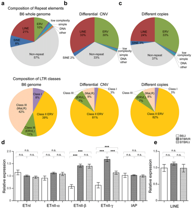 Figure 2: Copy number variation analysis and genetic expression analysis of BTBR/R autism model mice