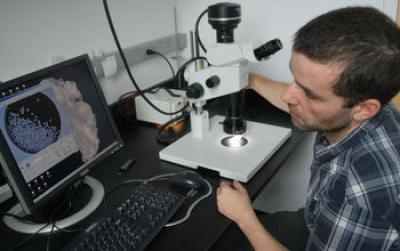 Scientist Leo Pena Analyzes Fossil Plankton Shells on a Computer to Reconstruct Ocean Circulation