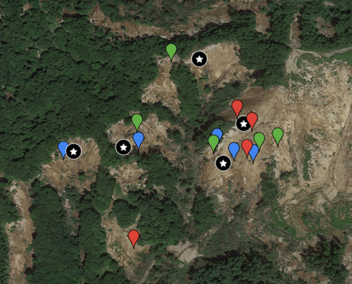 A drone image observing and mapping forest regeneration experiments