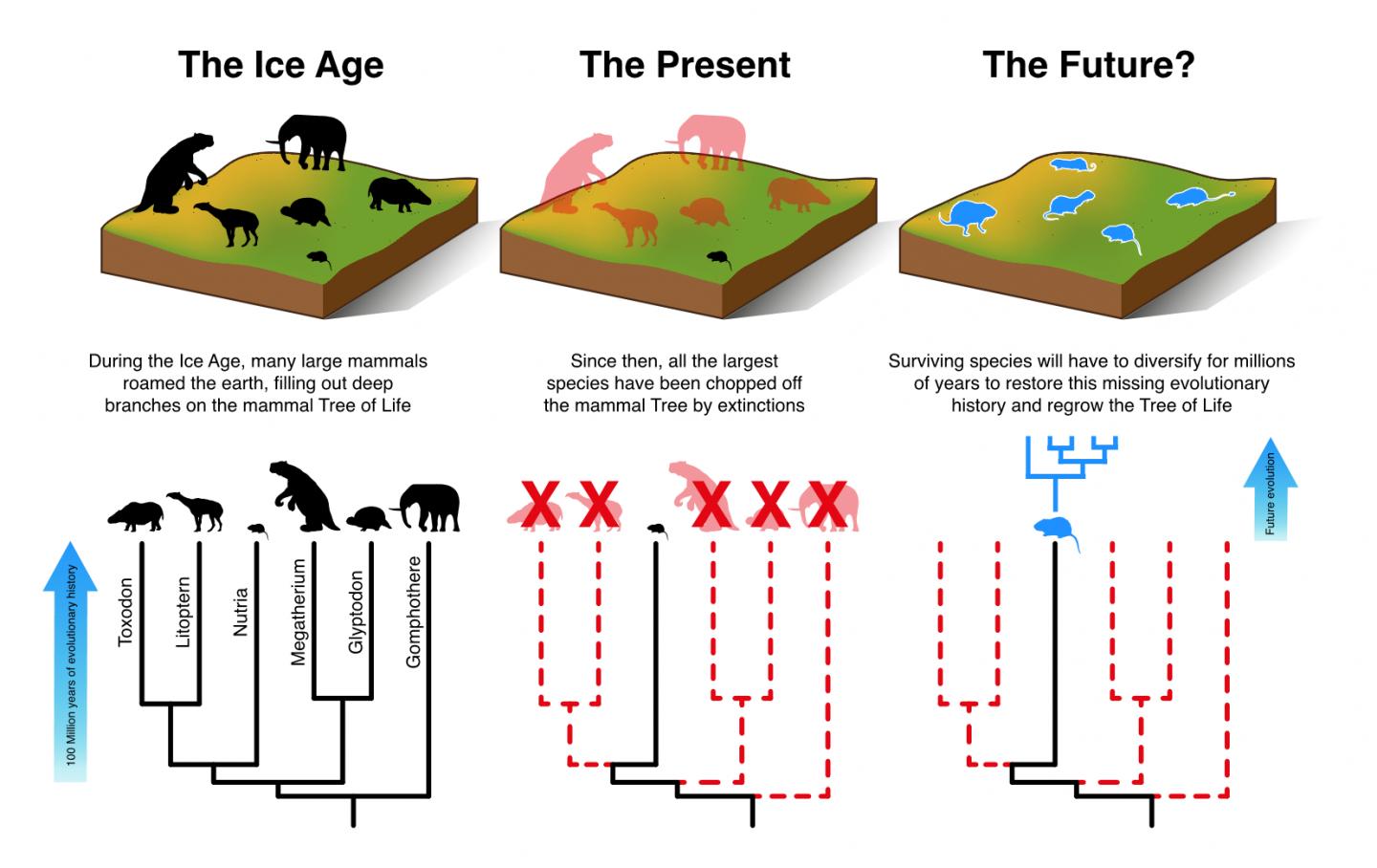 Extinct animals timeline