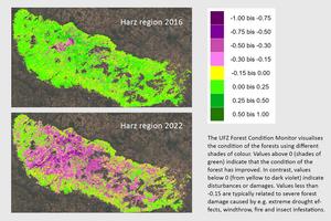 forest condition monitor