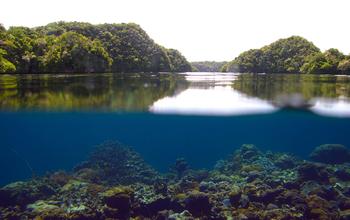 Coral Reefs, Palau