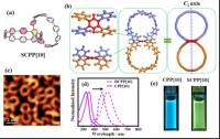 Structure and photophysical properties of SCPP[10]