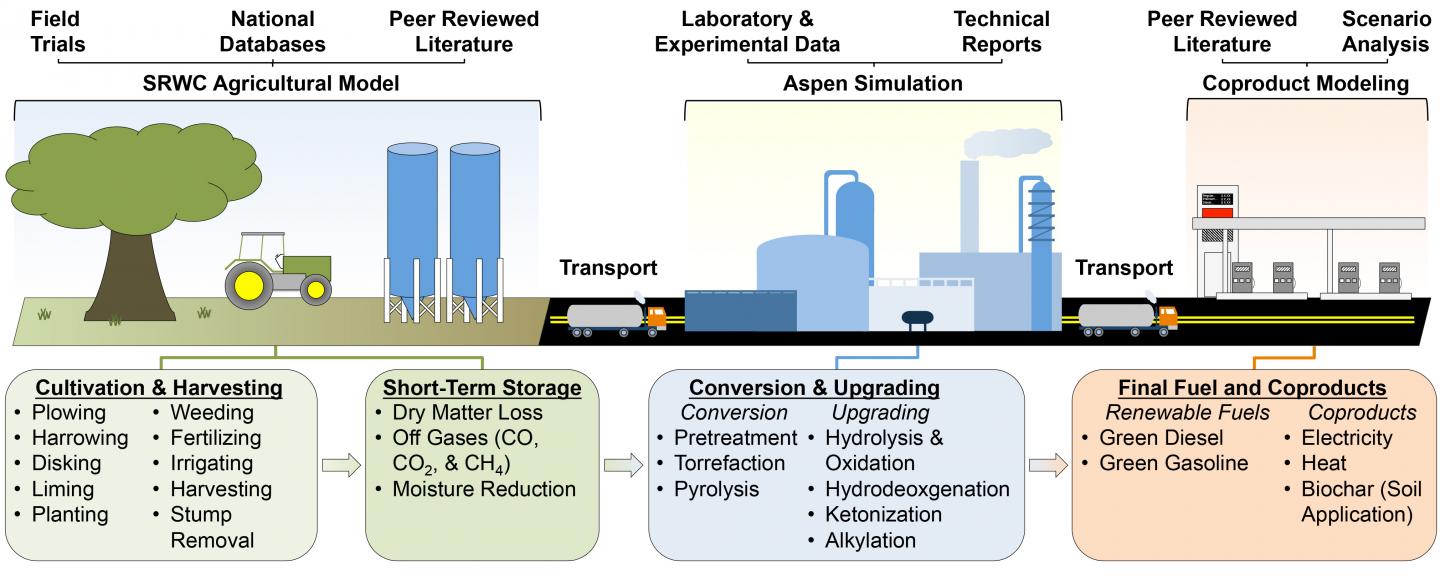 Biomass-to-Fuel Process Chain
